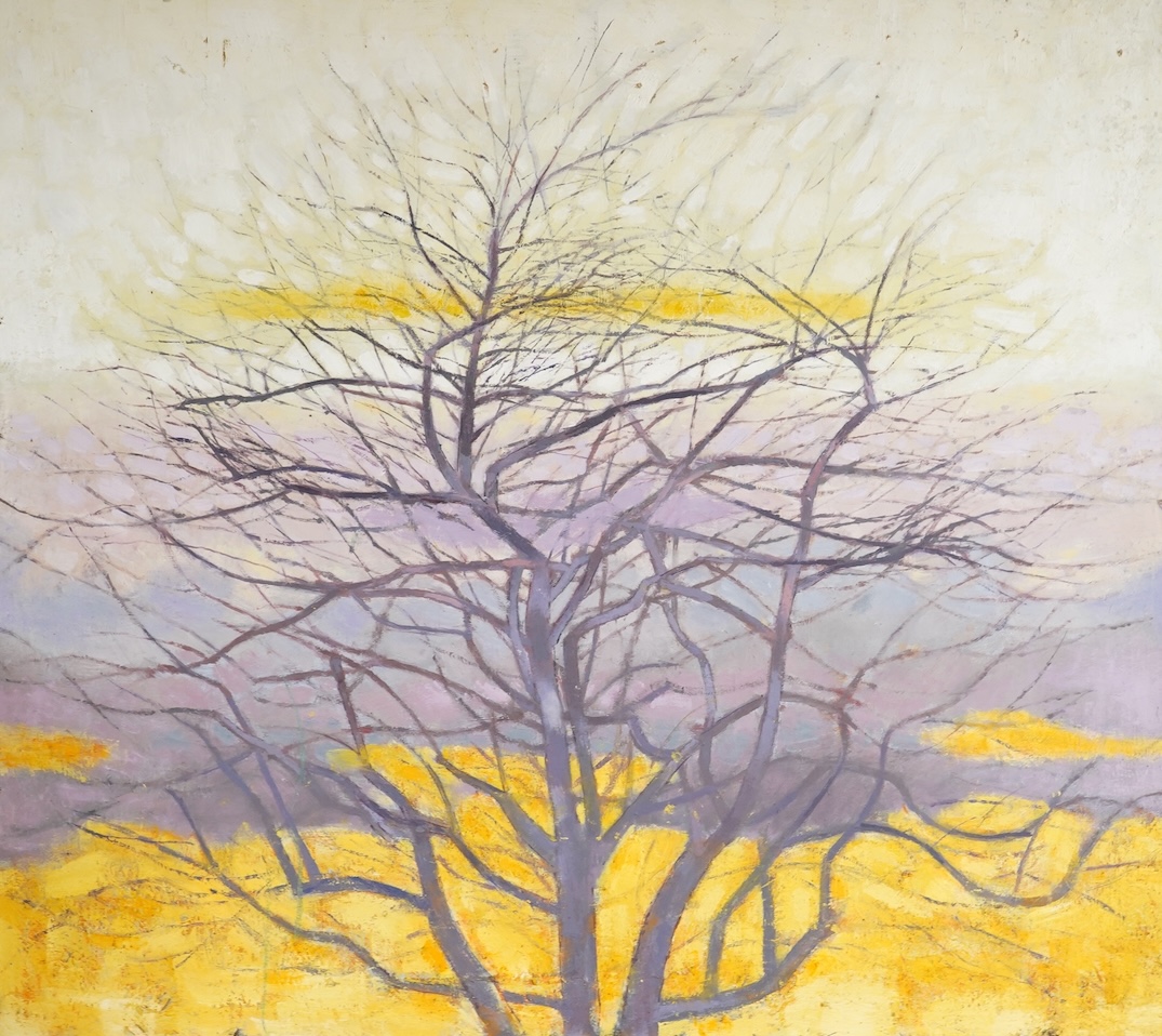 Arthur Hackney (1925-2010), Study of trees, unsigned, oil on board, unframed, 59 x 66cm
